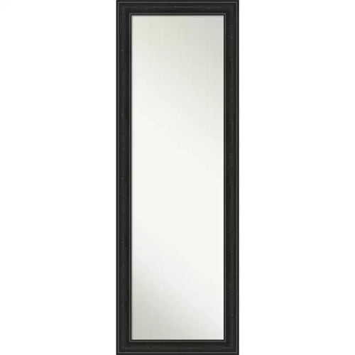 18" x 52" Non-Beveled Shipwreck Black Narrow Full Length on The Door Mirror - Amanti Art