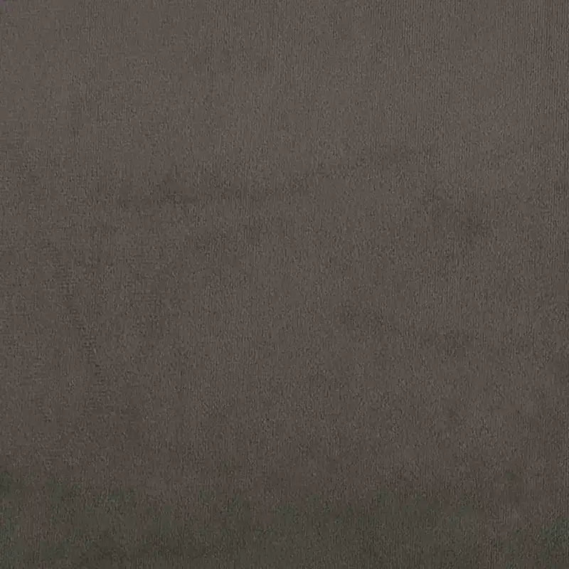 Divano letto a 2 posti in velluto grigio scuro - Divanetto/Letto singolo convertibile con struttura in legno per soggiorno, studio, ufficio domestico