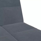 Divano Letto Velluto Grigio Scuro, Legno, Plastica Convertibile Standard
